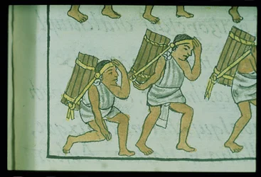 Хатагтай Палат. 218-220 Ацтекийн ачигч нар IX ном, Бернардино де Сахагуны "Флоренцын код"-оос, 1540-85 поли.